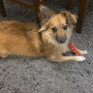 Meet your Posher, Tina